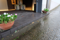 仙人蔵入口