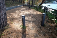 田沢湖遊覧船