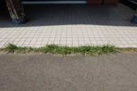 第一駐車場・公衆トイレ