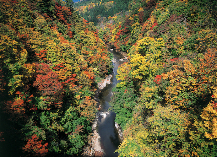 Oyasu Gorge