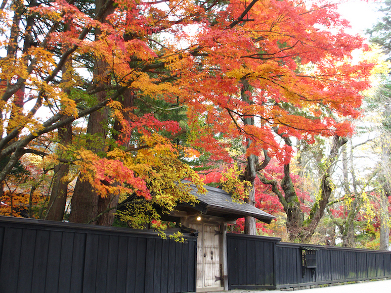 Kakunodate Bukeyashiki (Samurai Residence)