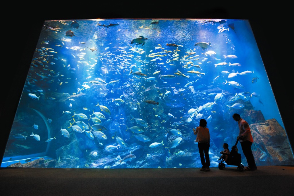 男鹿水族館ＧＡＯ