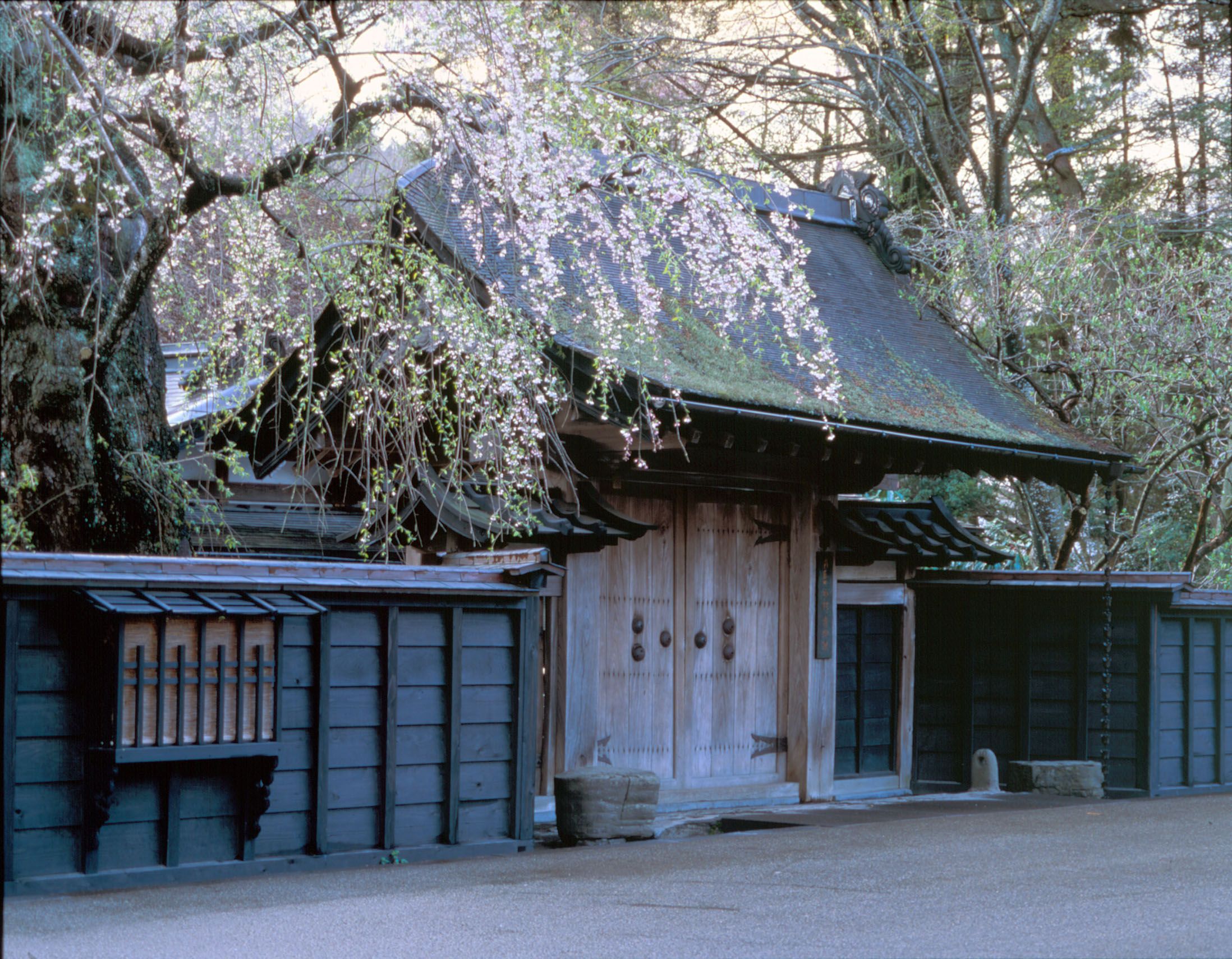 角館歴史村　青柳家